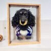 Custom Pet Portraits