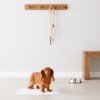 pet training pads