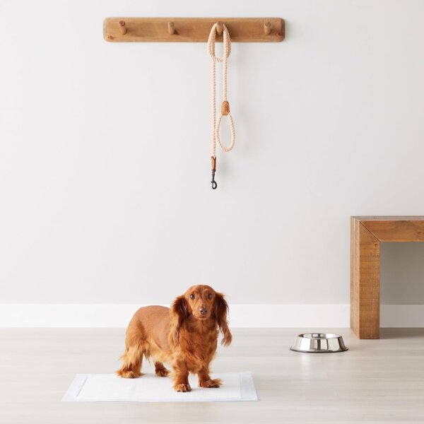 pet training pads